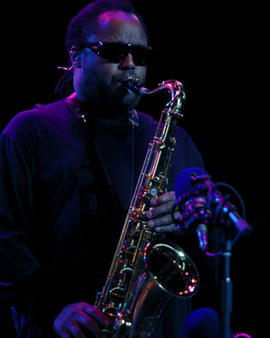 dmb1a.jpg